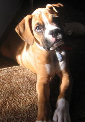 Hello Sunshine