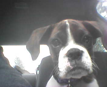 Hello! (up close and personal)