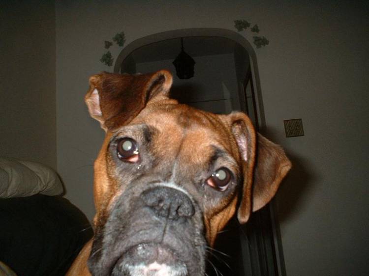Hello!