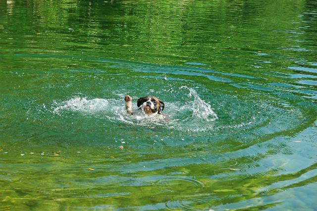 Help! I can't swim