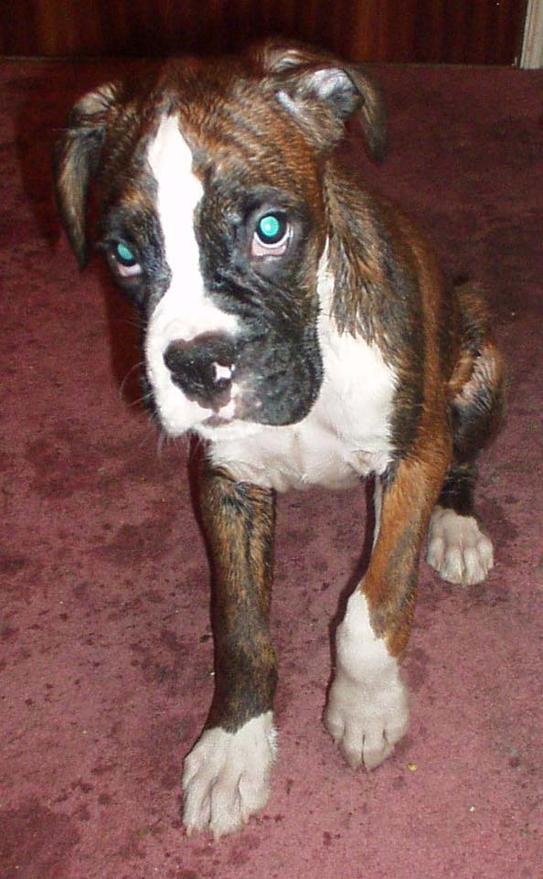 Help! I hate baths!