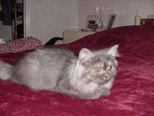 Help! I need a name!