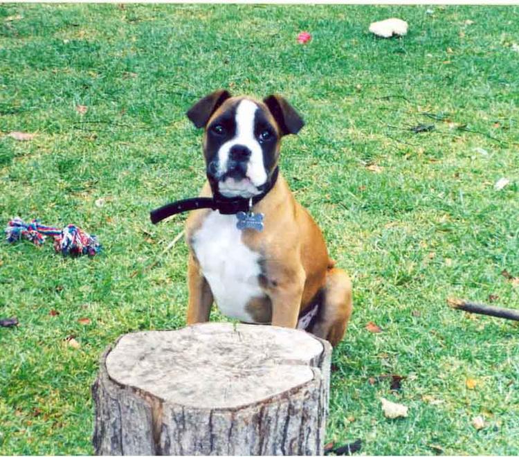 HELP!!! My stick's to big.