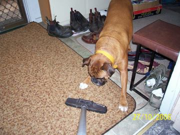 Helping clean up