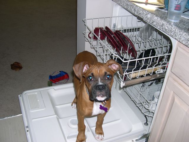 Helping mom in the kitchen
