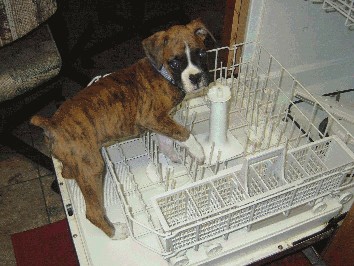 Helping Mom!