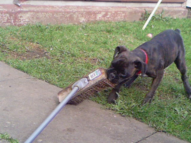 Helping mum brush