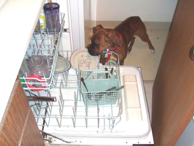 Helping w/ the dishes