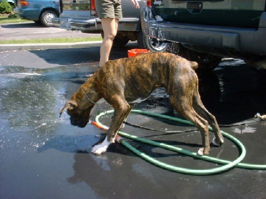 Helping wash the truck