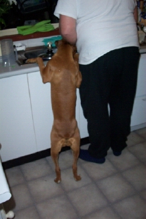 helping