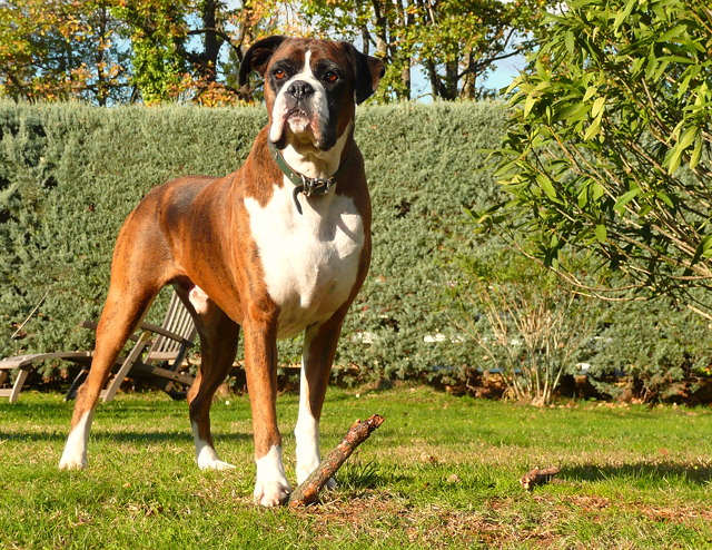 Henri - 6 years
