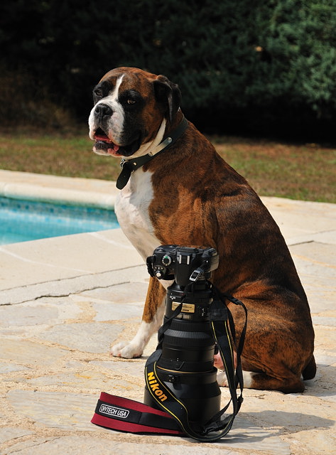 Henri and Nikon...