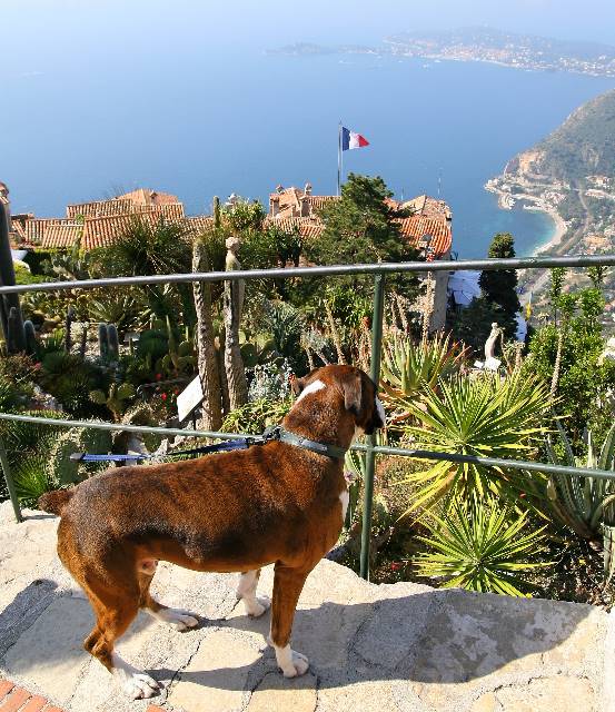 Henri at Eze