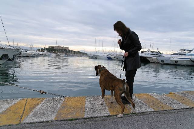 Henri contemplating fishing
