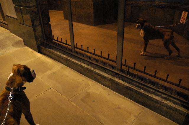 Henri in the mirror