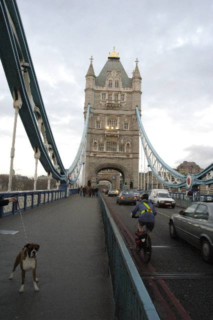 Henri on Tower Bridge