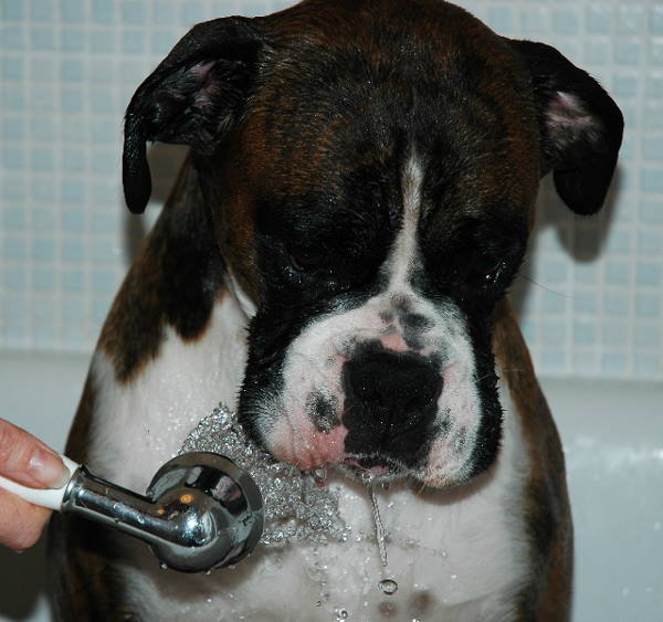 Henri's bath