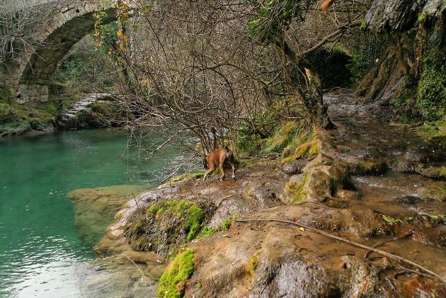 Henri's swimming hole