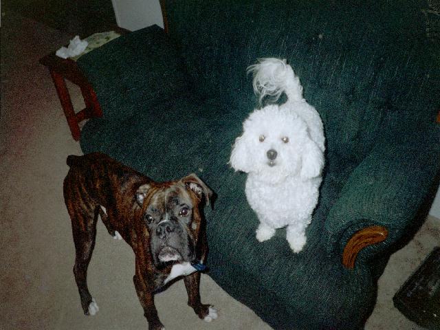 Henry and little sis