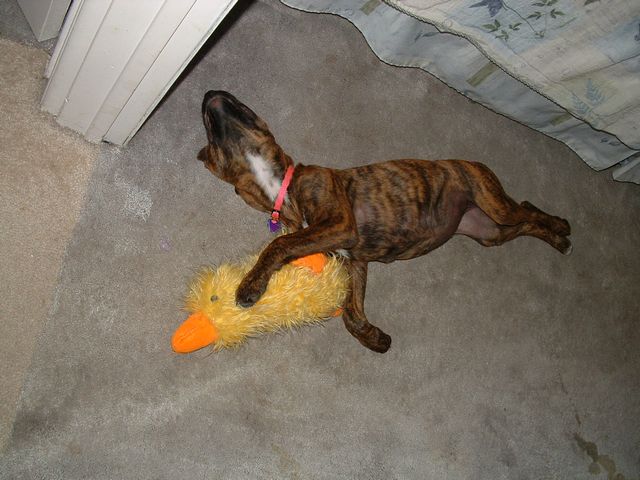 her baby