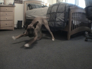 Her being her