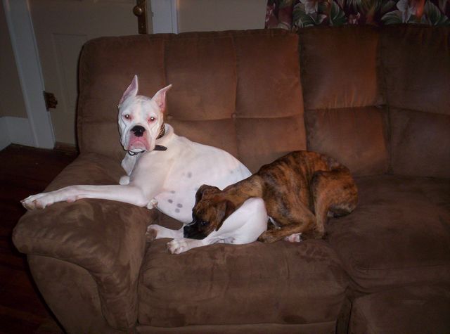 her comfortable spot