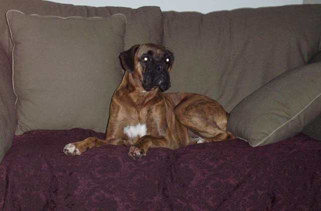 Her Couch !!!