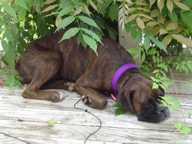 Her fav spot outside