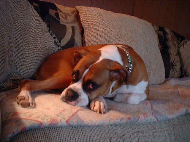 Her favorite spot!