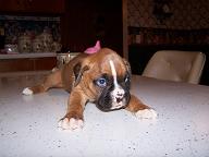 Her first pic....
