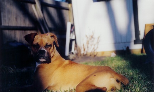 Her Majesty