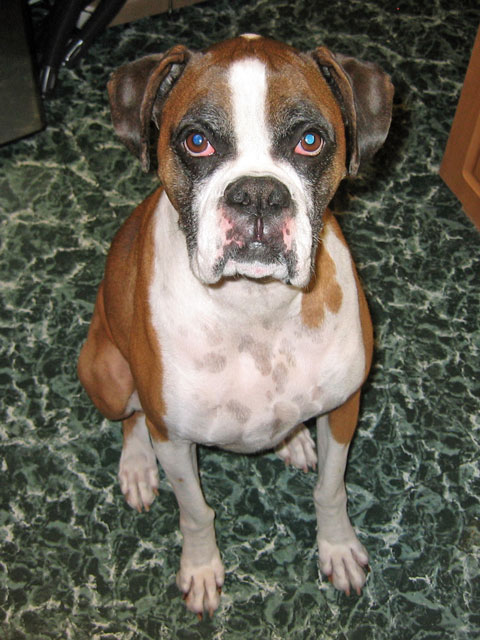 Hercules