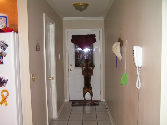 Here comes Daddy!