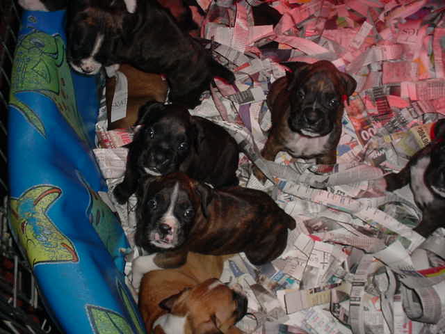Here I am with my Brother& Sisters!