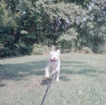 Here I come!
