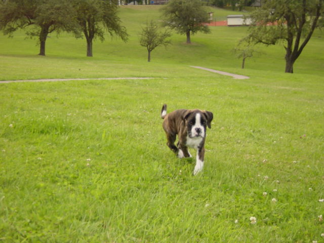 Here I Come!