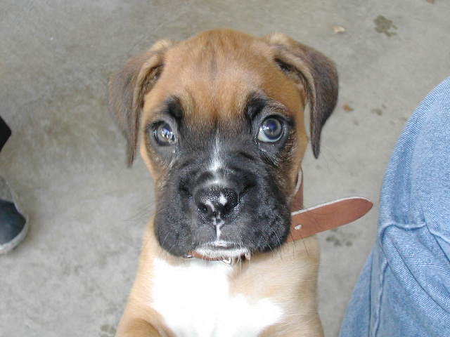 Here I was 3 months old