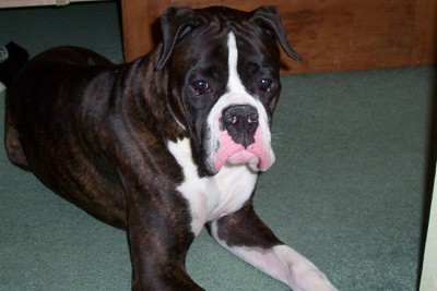 Here is my handsome man!!