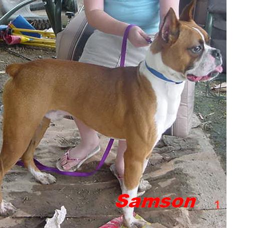 Here is Samson
