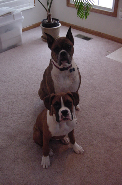 Here we are posing again