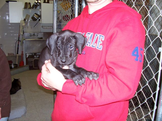 Here's another of our new little boy!