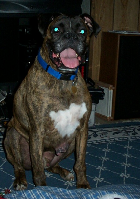 Here's BUBBA!