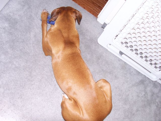 Here's her w/ her hip bones up in air...