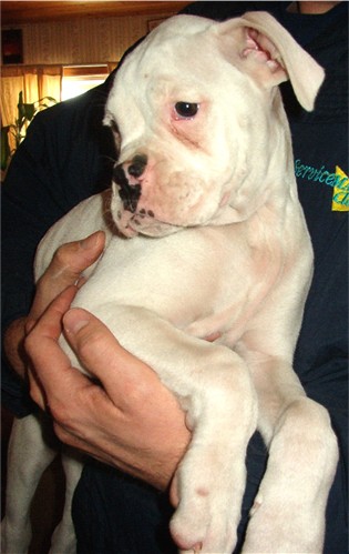 Here's our new soon to be baby!