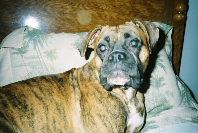 Here's Sadie!