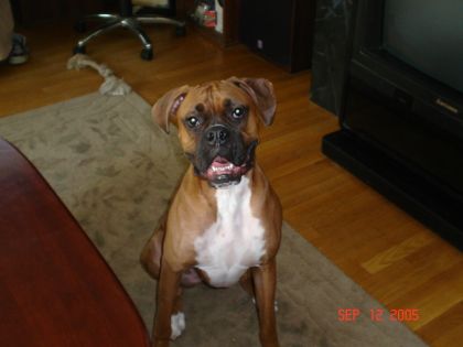 Here's Ty in Sept 05