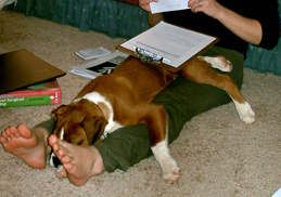 He's a mama's boy