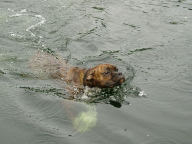 He's a swimmer!