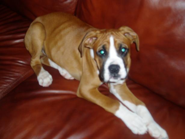 hes getting big now!