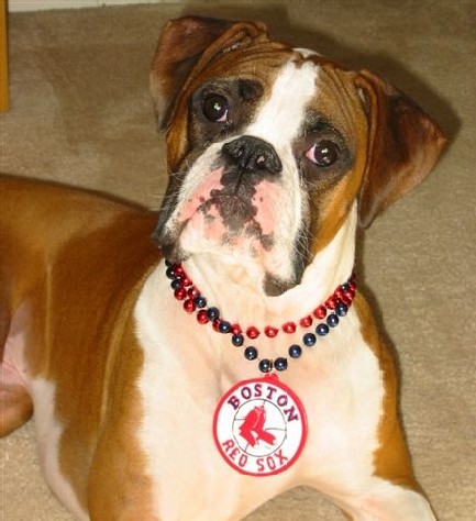 Hey Dad I'm ready for spring training